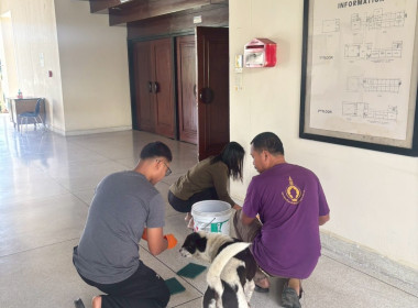 โครงการสมดุลชีวิตคนทำงาน Big Cleaning Day พารามิเตอร์รูปภาพ 19